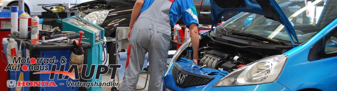 Leistung Gelaende werkstatt Autohaus Zwenkau Leipzig sachsen 2